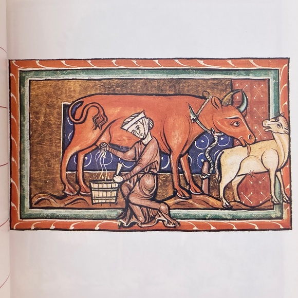 1985 The Medieval Woman An Illuminated Book of Days Calendar Journal History - Picture 6 of 15